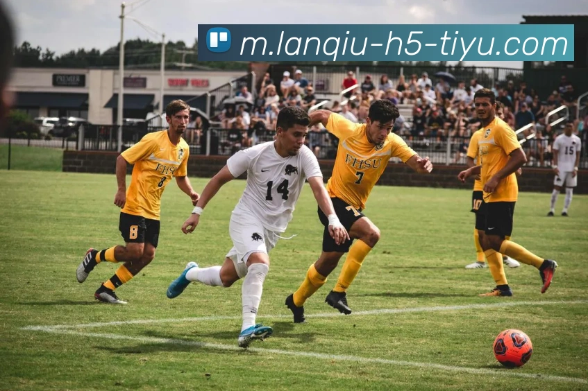 篮球赌注APP 封面图